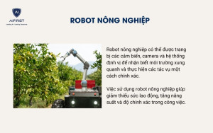 Robot ngày càng phổ biến ở các nông trại