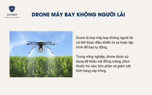 Sử dụng Drone máy bay không người lái để giám sát trồng trọt