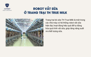 Robot vắt sữa ở trang trại TH True Milk