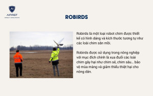 Robirds giúp nông dân xua đuổi các loài chim gây hại