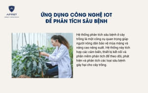 Ứng dụng công nghệ IOT để phân tích sâu bệnh