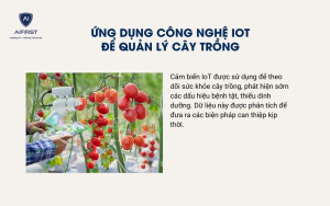 Ứng dụng công nghệ IOT để quản lý cây trồng