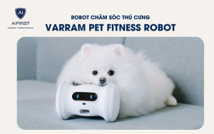 Robot chăm sóc thú cưng: VARRAM Pet Fitness Robot