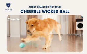 Robot chăm sóc thú cưng: Cheerble Wicked Ball