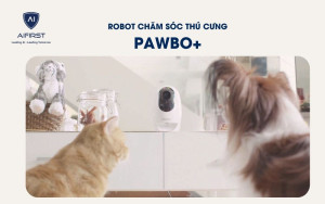 Robot chăm sóc thú cưng: Pawbo+